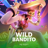 Wild Bandito